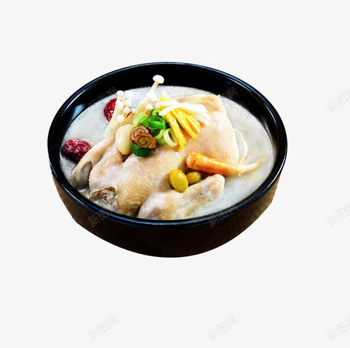 美食設計新焦點 老母雞湯免摳PNG素材，賦能餐飲與電商創意